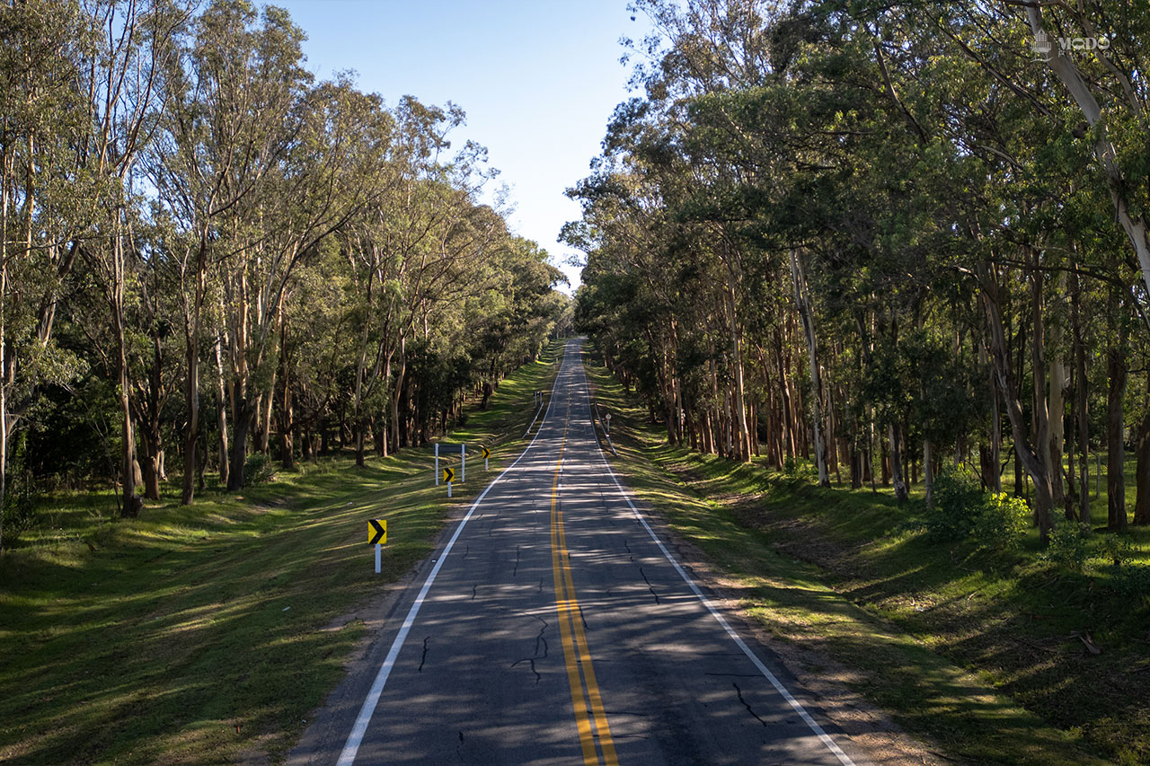 Ruta 104