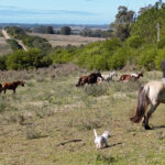 Casa Quetzal - Cerro Eguzquiza
