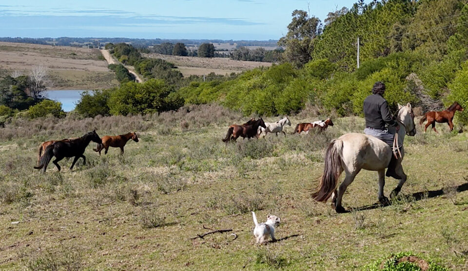 Casa Quetzal - Cerro Eguzquiza