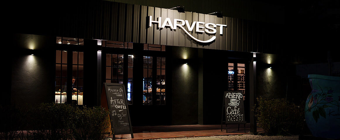 Harvest Punta del Este