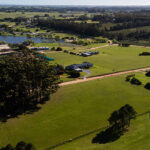 Venta de lotes en el barrio Pueblo Mío.