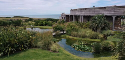 Máximo Vercell | Paisajismo y Diseño de Jardines en Punta del Este