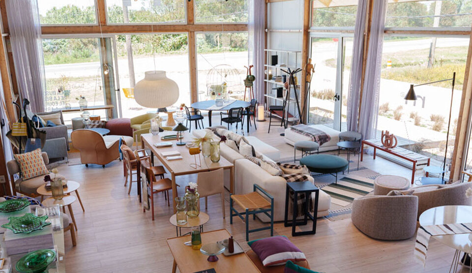 Monoccino Design Hub: representantes oficiales y punto de venta de DePadova y Muuto en Uruguay