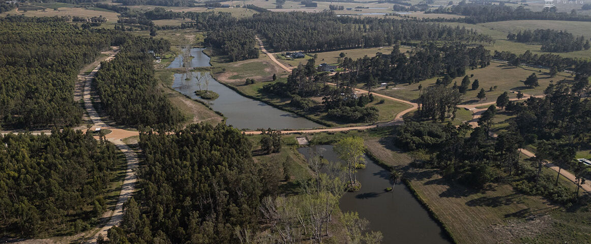 Puerto Quetzal desde el aire: 200 lotes entre árboles nativos y 100 hectáreas de espacios comunes que preservan el paisaje original. Un club de campo donde la naturaleza marca el ritmo y define la identidad del lugar.
