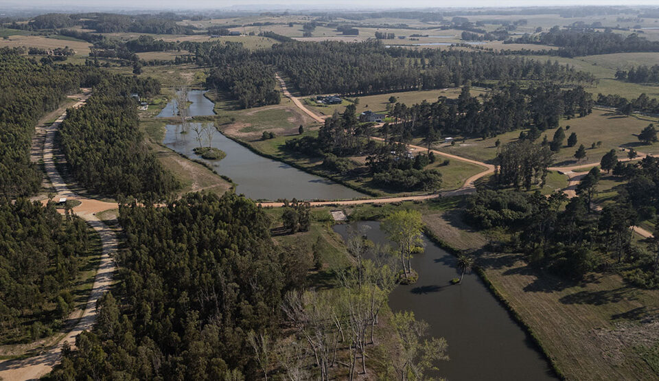 Puerto Quetzal desde el aire: 200 lotes entre árboles nativos y 100 hectáreas de espacios comunes que preservan el paisaje original. Un club de campo donde la naturaleza marca el ritmo y define la identidad del lugar.
