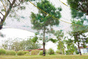 Arquitectura blanda: diseño y resistencia en una instalación de Tree Net que se integra de forma orgánica y personalizada entre árboles.