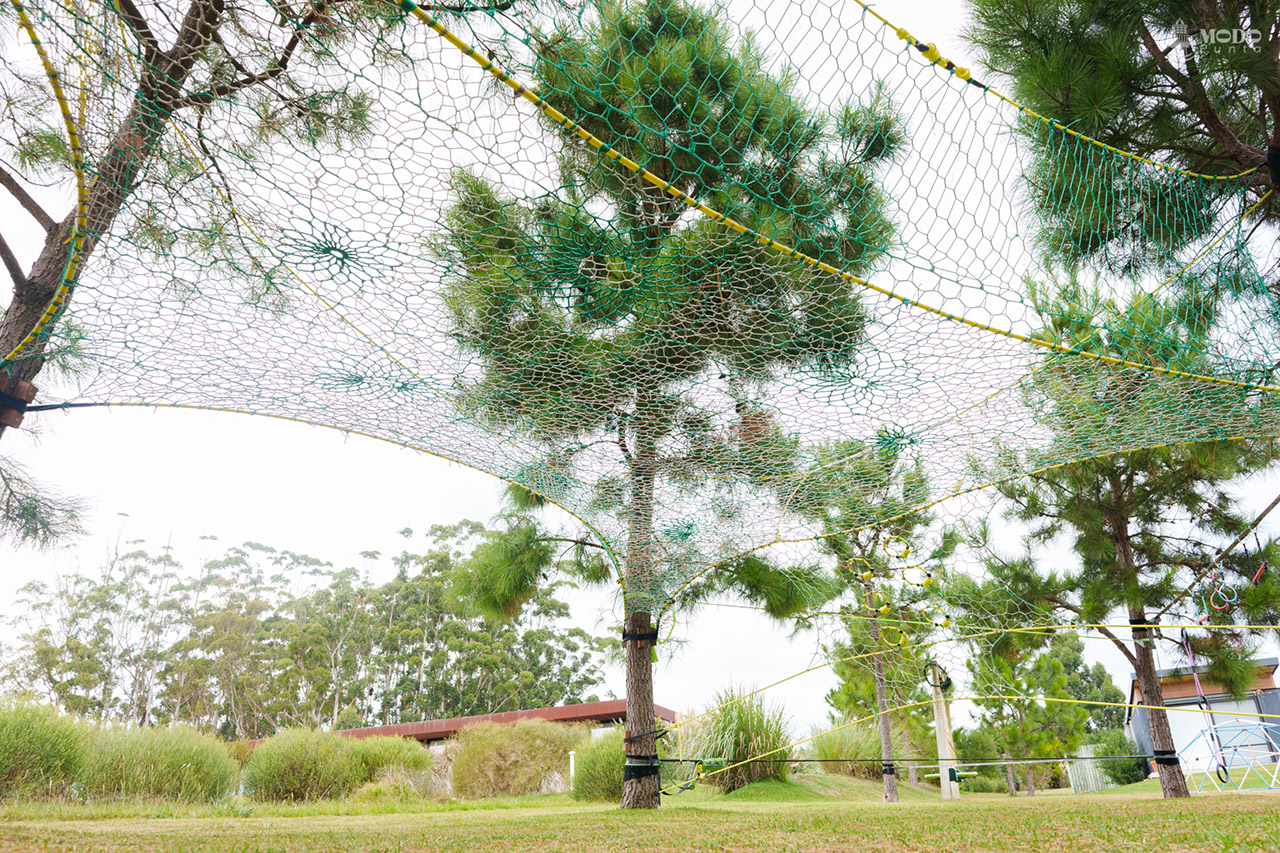 Arquitectura blanda: diseño y resistencia en una instalación de Tree Net que se integra de forma orgánica y personalizada entre árboles.