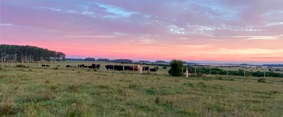 Chacra en Venta en José Ignacio.