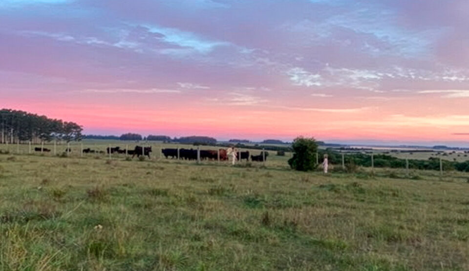 Chacra en Venta en José Ignacio.
