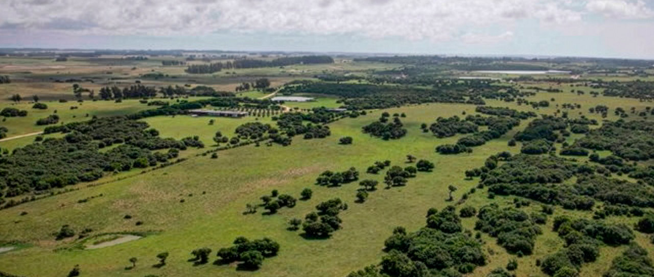 Venta de espectacular chacra de 20 hectáreas en José Ignacio. Entorno natural con bosques de coronillas, tajamares y vistas exclusivas a la laguna y el mar.