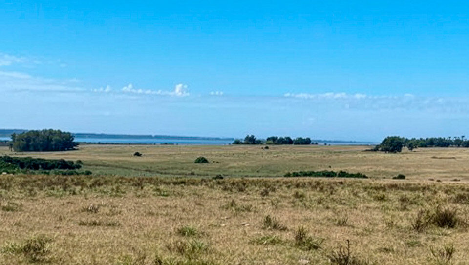 Chacra de 6 hectáreas en La Rinconada con vistas a la laguna y al mar. Ubicación privilegiada a minutos de José Ignacio, ideal para vivir o invertir en entorno natural.
