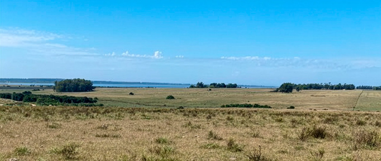 Chacra de 6 hectáreas en La Rinconada con vistas a la laguna y al mar. Ubicación privilegiada a minutos de José Ignacio, ideal para vivir o invertir en entorno natural.