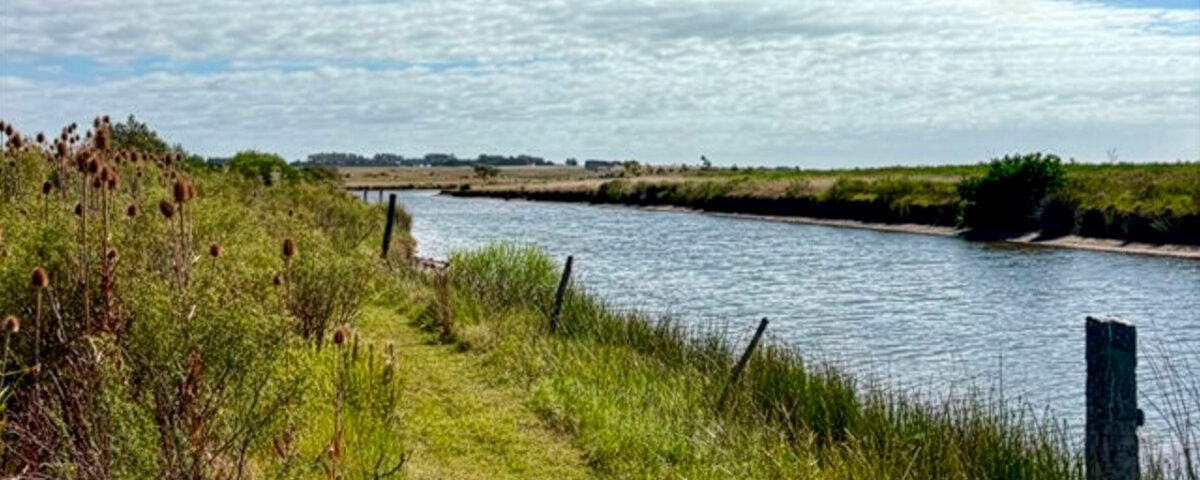 Chacra en José Ignacio con costa de arroyo, tajamares y plantación de frutales. Proyecto de permacultura en producción, con casa y galpón en entorno natural.