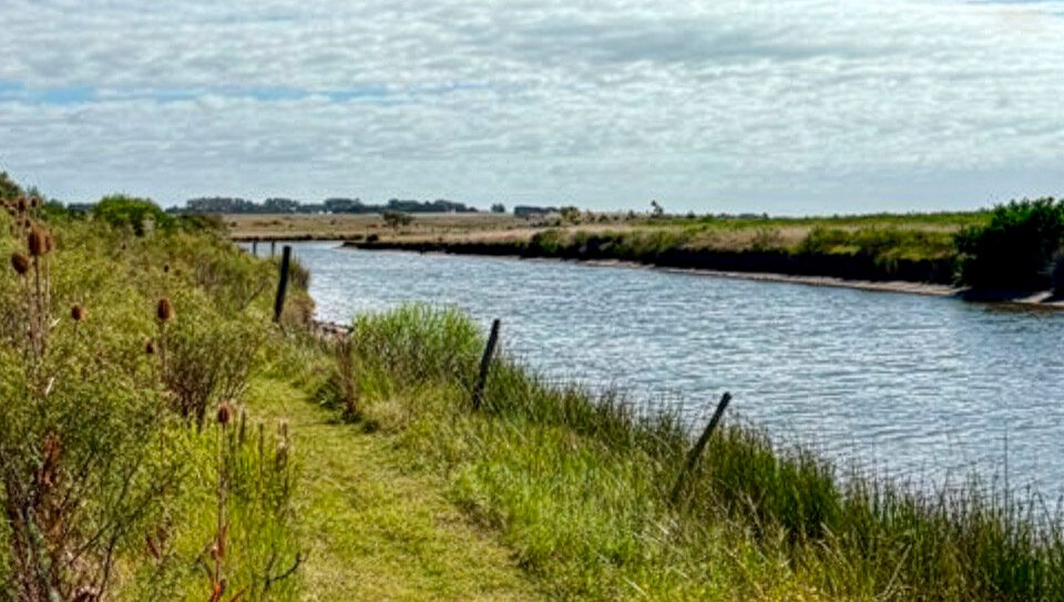 Chacra en José Ignacio con costa de arroyo, tajamares y plantación de frutales. Proyecto de permacultura en producción, con casa y galpón en entorno natural.