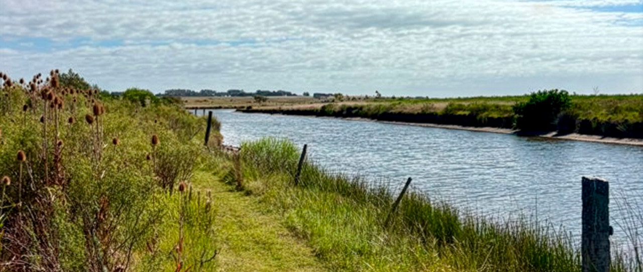 Chacra en José Ignacio con costa de arroyo, tajamares y plantación de frutales. Proyecto de permacultura en producción, con casa y galpón en entorno natural.