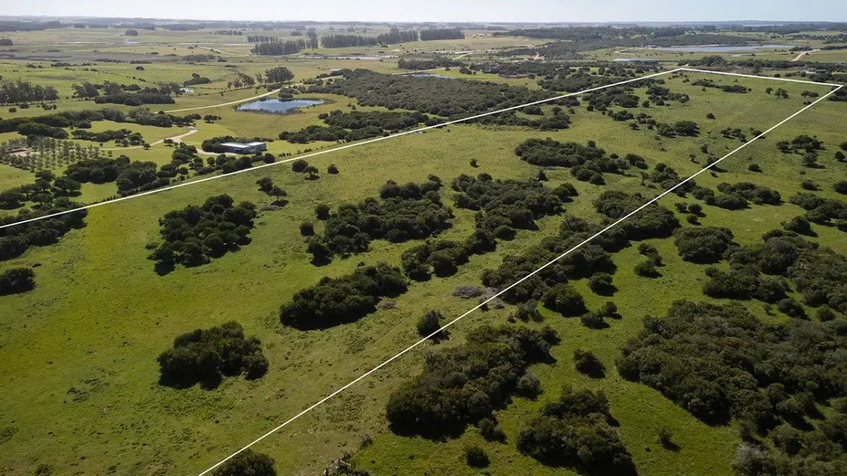 Venta de Chacra en José Ignacio