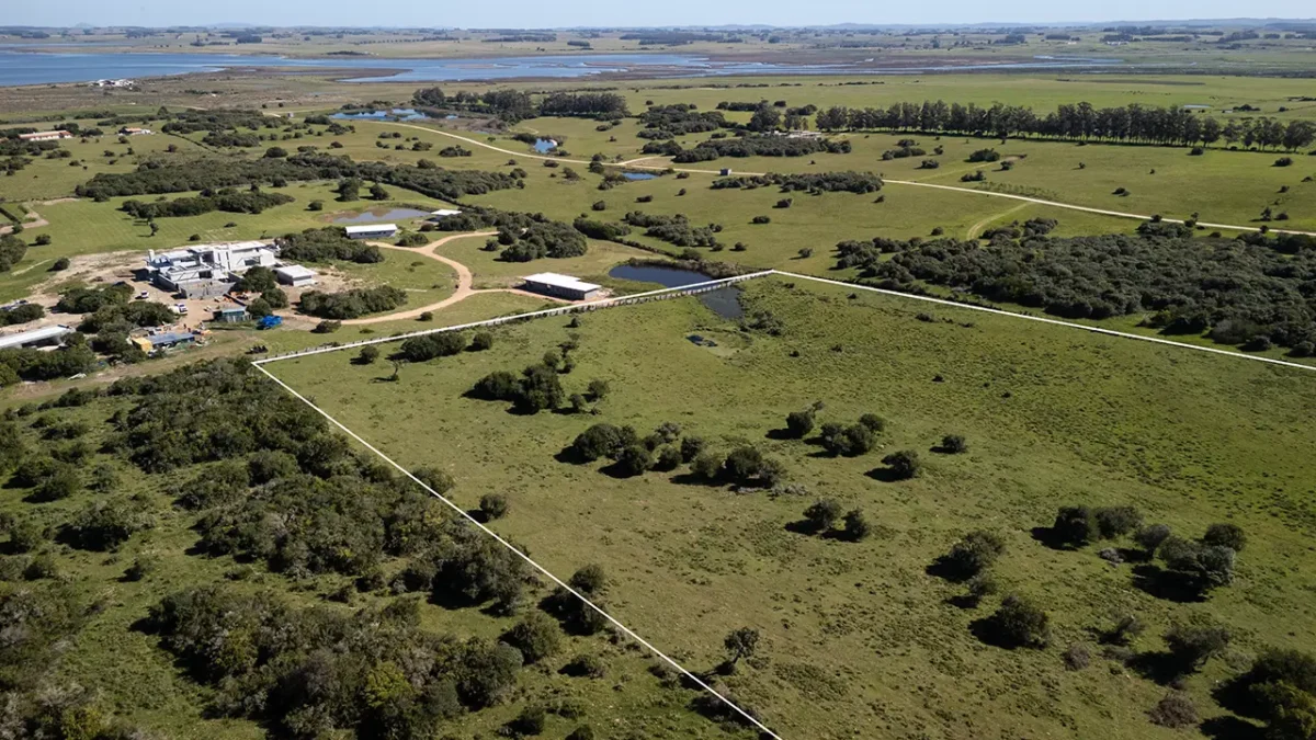 Venta de Chacra en José Ignacio
