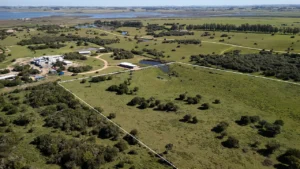 Venta de Chacra en José Ignacio