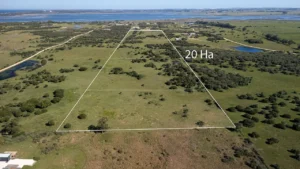 Venta de Chacra en José Ignacio