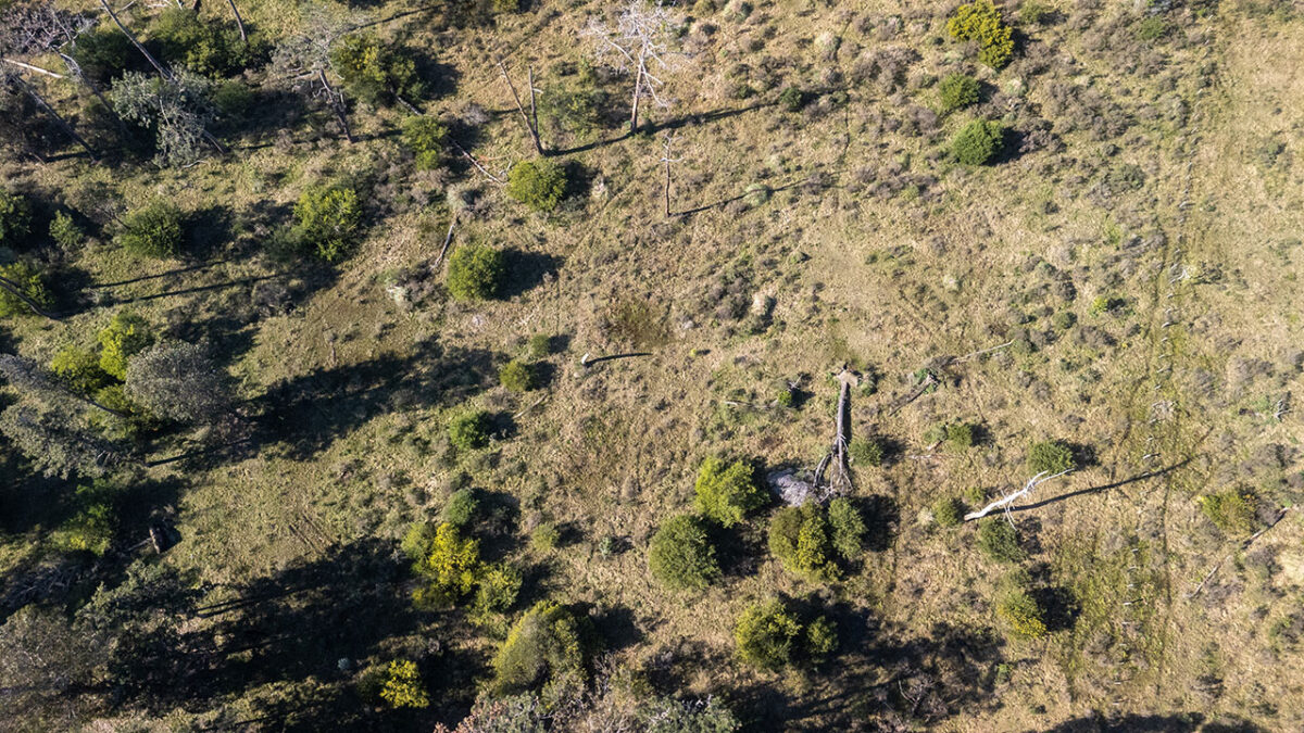 Terrenos en Edén Rock, Ruta 10 | Oportunidad Inversión