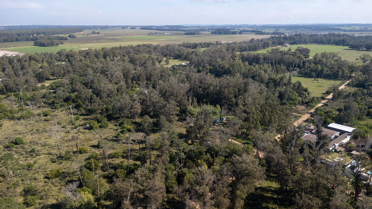 Espacios verdes y privacidad: Lotes rodeados de naturaleza, listos para tu proyecto de vida.