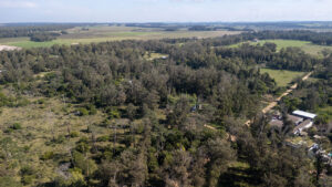 Espacios verdes y privacidad: Lotes rodeados de naturaleza, listos para tu proyecto de vida.
