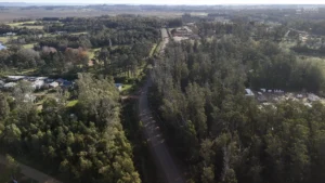Bosques de eucaliptos y primeras obras en el corredor, un entorno semirrural en proceso de transformación residencial entre La Barra y El Tesoro.