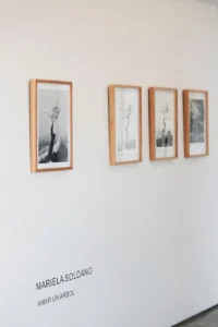 Del Paseo - Muestra