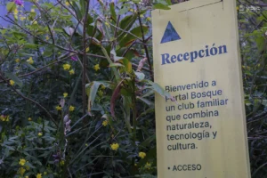Una cálida recepción a Portal Bosque, el club familiar donde la naturaleza se cruza con la cultura y la tecnología.