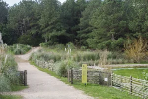 Sendero de acceso donde se desarrollan gran parte de las propuestas al aire libre.