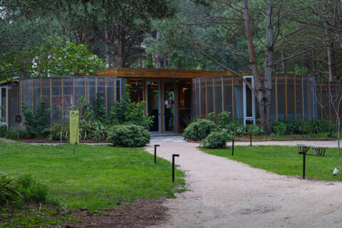Portal Bosque: un espacio en La Barra para aprender, crear y desconectar